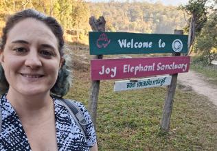 Elephant Jungle Sanctuary