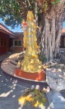 Wat Muen San