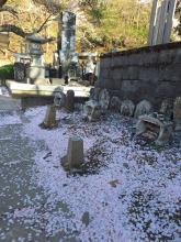 Kawaguchi Asama Shrine
