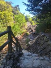 Mt. Misen