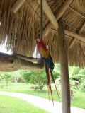 Eco Zoo of Palenque
